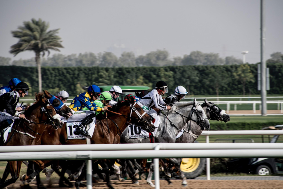 The Triple Crown Jewel: Becoming A Sharper Belmont Stakes Bettor