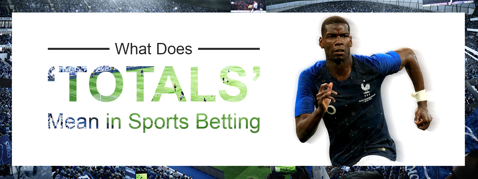 What Does Totals Mean in Sports Betting