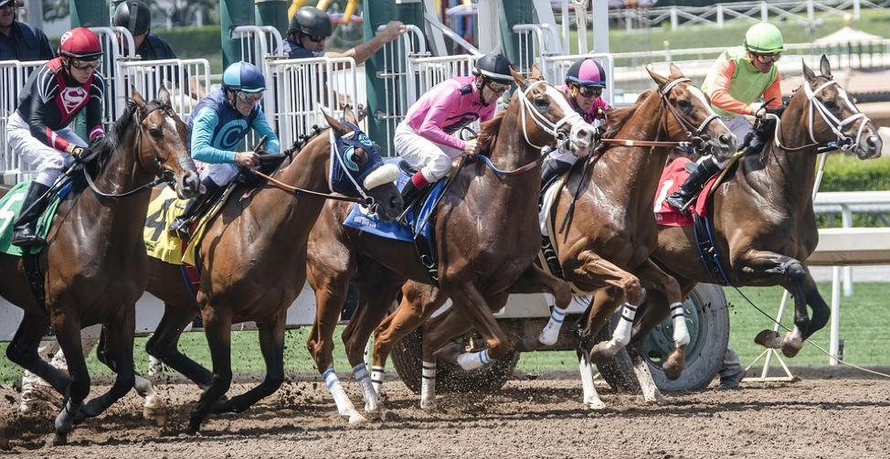 Big 4 Races At The Monmouth Park 2019